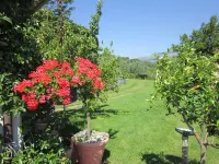 Agriturismo Masseria Santa Lucia