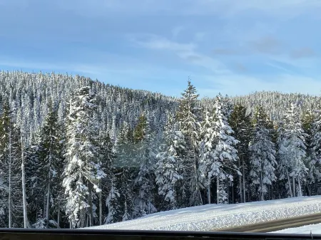 Big Bear Chalet, modern home on Mount Washington