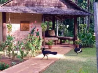 Atta Rainforest Lodge Hotels in 