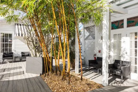 Alexander's Guesthouse-Adult Exclusive, Lgbtq Friendly Отели рядом с достопримечательностью «Ки-Уэст Баттерфлай энд Нейчер Консерватори»