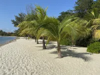 Gold Standard Beach Front Estate with Private Pool and walk to Placencia Village