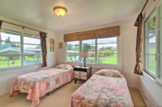 Hilo Home Base - 3 Miles to State Park and Beach!