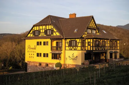 Hôtel Arnold Отели в г. Барр