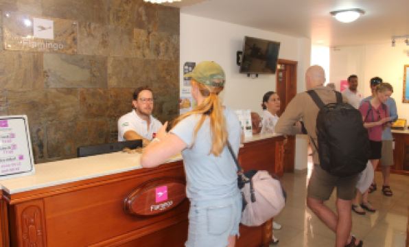 Hotel Flamingo - Housity