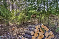 Breezy Point Cabin w/ Fire Pit - Walk to Lake - Wifi
