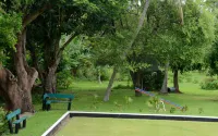 Tanoa Rakiraki Hotel - Bares