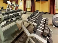 Holiday Inn ARLINGTON NE-RANGERS BALLPARK by IHG - Fitnessstudio