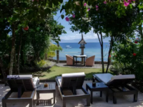 Dolphin House Resort Spa Diving