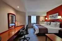 City Lodge Hotel Sandton, Morningside