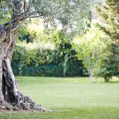 Hôtel Novotel Montpellier Hotel Exterior
