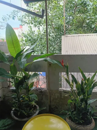 Viet Vintage Hostel & Pub Отели рядом с достопримечательностью «Thang Long Water Puppet Theatre»