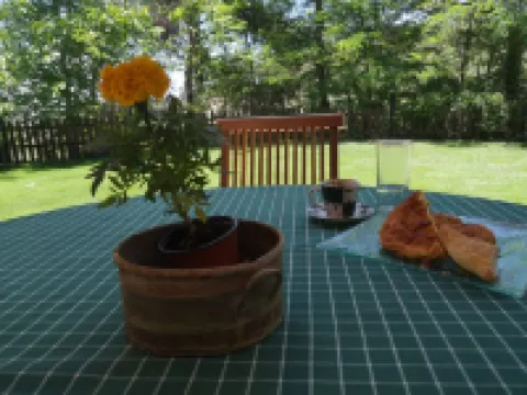 帕諾普拉特斯塞浦路斯的恩裏埃特別墅 - 全景山間度假屋