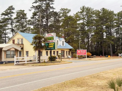 Tranquil Amethyst Oasis