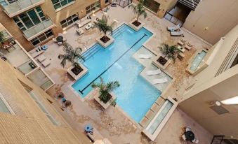 Comfort at the Star I 2 Bed Apt in Houston