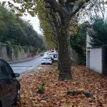 5mn from Paris Porte de Bercy, and 30mn from Disney. Pets welcome! Hotel di Saint-Maurice