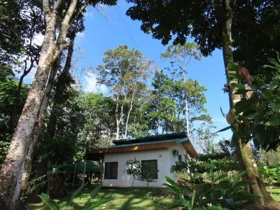 Charming 2-bedroom villa in peaceful Provincia de Alajuela with AC, WiFi Hotels near Rotonda Florencia de San Carlos. PUNTO DE REFERENCIA.
