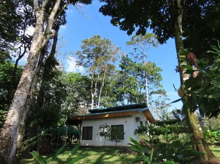 Charming 2-bedroom villa in peaceful Provincia de Alajuela with AC, WiFi Отели рядом с достопримечательностью «Rotonda Florencia de San Carlos. PUNTO DE REFERENCIA.»