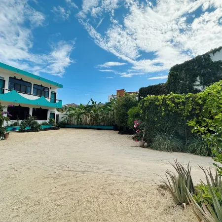 Cabo Bohemia Tropical Garden Studios