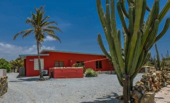 Dos Shoco Villa Ayo 34