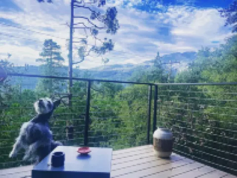 Crestviewhaus:  Amazing Idyllwild Cabin Retreat, stunning views 3BDRM+Loft