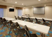 Hampton Inn Snyder - Badekar