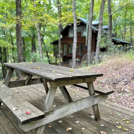 Entire cabin in Lost City, West Virginia