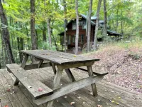 Entire cabin in Lost City, West Virginia