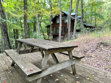 Entire cabin in Lost City, West Virginia