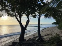 Charming Downtown Oasis 1-bedroom house with WiFi and AC in beautiful Rincón.