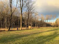 Charming 2-bedroom cottage on private 4 acres with modern amenities