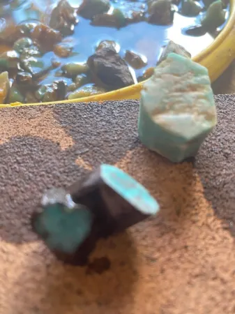 A Cozy Cabin retreat after a fun day in the wild!