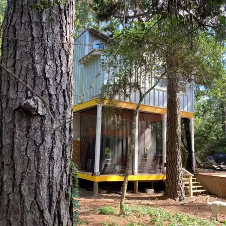 Paradise Pines