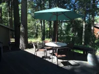 Cozy Cabin in McCall