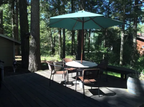 Cozy Cabin in McCall