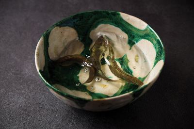 その他 鶴巻温泉 元湯陣屋の写真