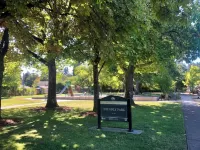 Friendly Alley Bungalow~Private Oasis Close to UO