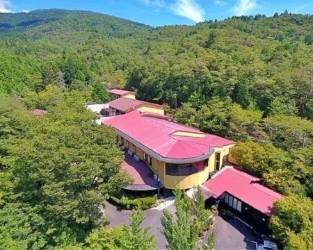 Iwasu-so Hotels in Nakatsugawa