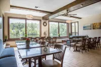 블랙 스완 인 언 어센드 컬렉션 멤버