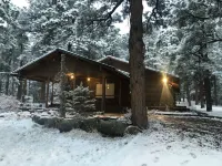 Cozy Cabin on the Creek, with Fireplace and Firepit.