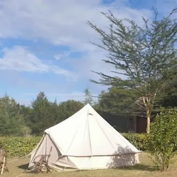 Great Circle Camping and Game Drives