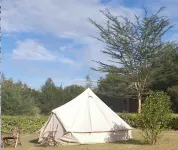 Great Circle Camping