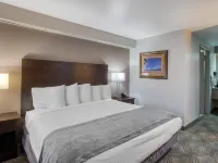 سور ستاي باي بست ويسترن سالت ليك سيتي داون تاون Hotels near ترولي سكوير