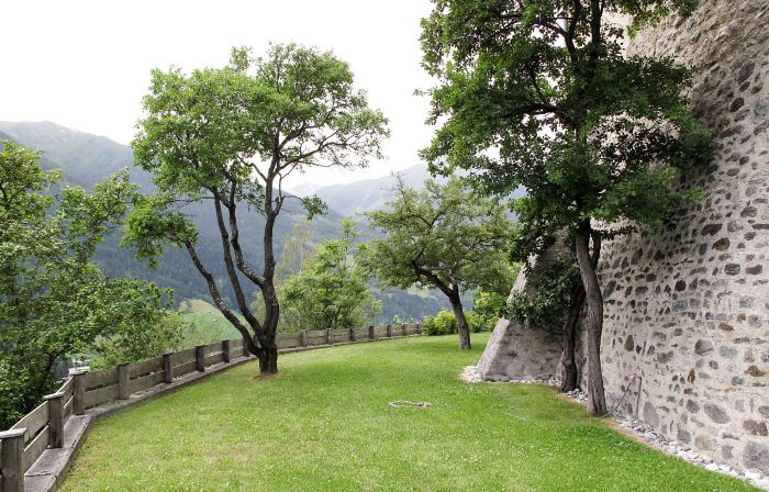 Burg Biedenegg, Niedermontani
