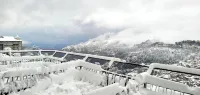 Hotel Willow Banks Shimla - خلابة