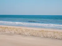 CarrleTrachtman - Sea View