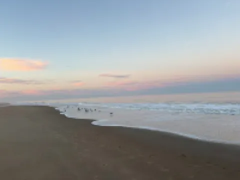 Semi-Oceanfront Gem in the Heart of Kdh - Steps to Beach, Dining & Dog Friendly!