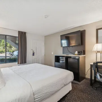 Ramada by Wyndham Temple Terrace/Tampa North Hotels near Mosi Science Museum