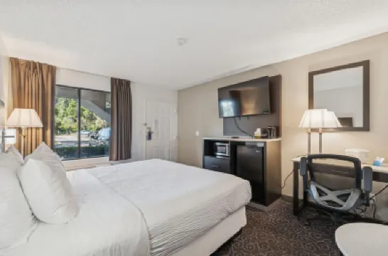 Ramada by Wyndham Temple Terrace/Tampa North Hotels near Busch Gardens