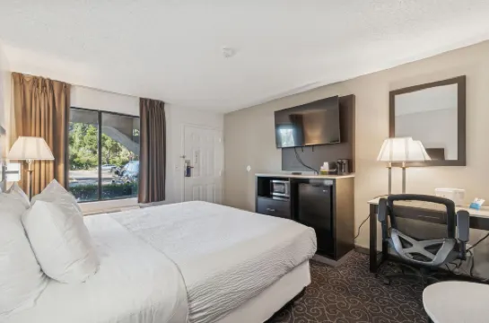 廟台-坦帕北華美達酒店