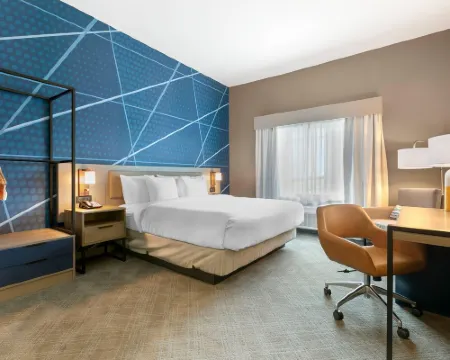 Comfort Inn & Suites Houma Hotels in Houma